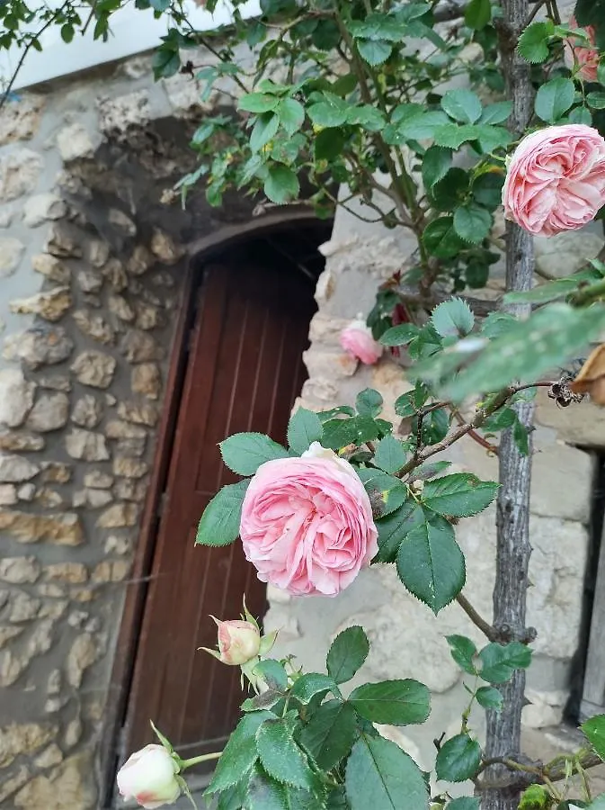Les Deux Sources Hotell Saint-Laurent-en-Royans